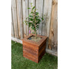 YMCA ReBuild - Small Planter Box (PICK UP ONLY)